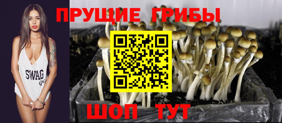 Галлюциногенные грибы мухоморы  Вход с VPN  Минеральные Воды 